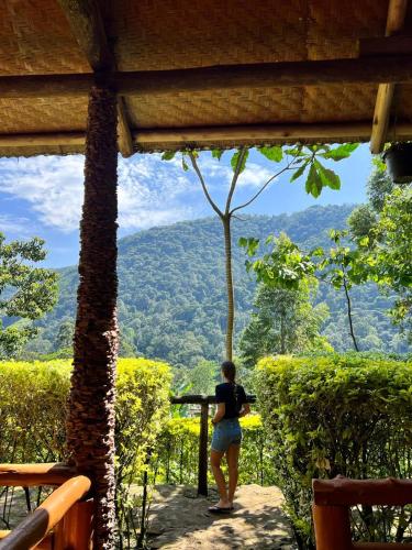 a woman standing on a porch looking out at the mountains at Bwindi Forest Lodge in Buhoma
