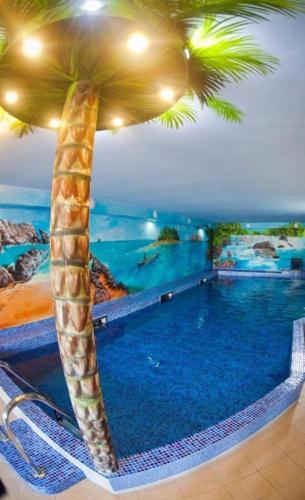 una piscina d'albergo con una palma di Rezydencja Korab a Międzyzdroje