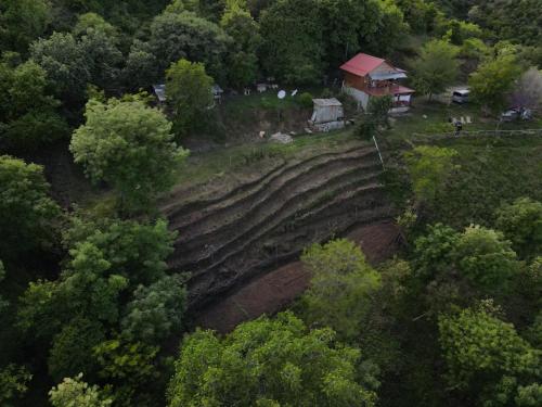 Příroda nedaleko apartmánu