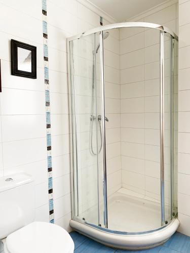 a glass shower in a bathroom with a toilet at Casa Román III in Gijón