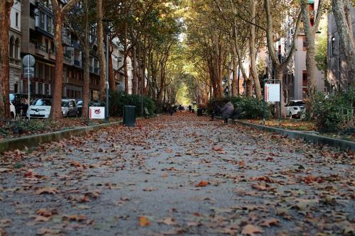 Dinamia CityLife photo 29
