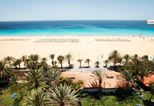 an aerial view of a beach with palm trees and the ocean at ROBINSON JANDIA PLAYA - Adults only in Morro del Jable