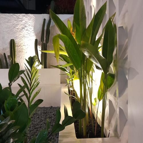 a vase filled with plants sitting next to a wall at Villa Tiga Dara Batu in Batu