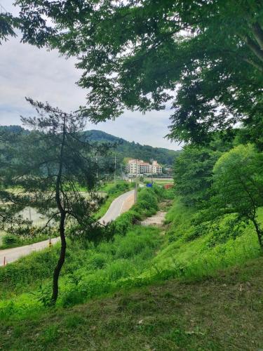 a road in the middle of a field with trees at Gamseong House in Sejong