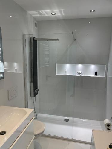 une salle de bain blanche avec douche et toilettes dans l'établissement Ibis croisette, à Cannes