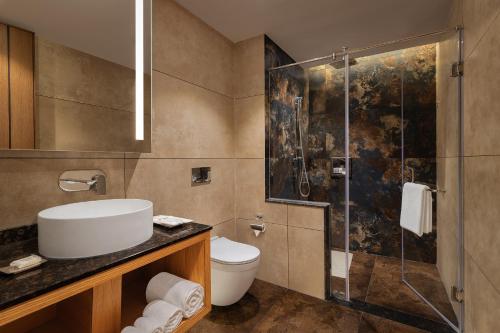 達蘭薩拉的住宿－INFINITEA CENTRIC DHARAMSHALA，浴室配有卫生间水槽和淋浴。