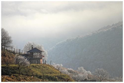 Un paisaje natural cerca de la casa de huéspedes