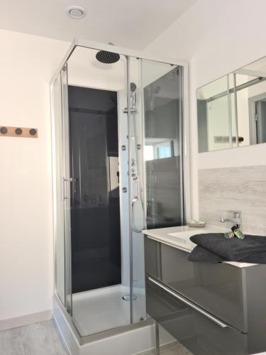 une salle de bain avec une douche en verre et un lavabo dans l'établissement La P'tite Bas-Rivière, à Blois