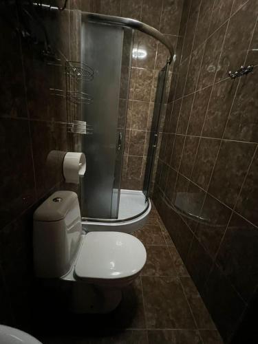 a bathroom with a toilet and a shower at Hotel Albatros in Batumi