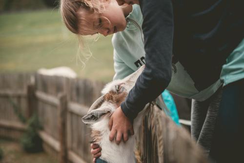a young girl petting a goat over a fence at Familienhotel Replerhof mit Kinderbetreuung in Prägraten