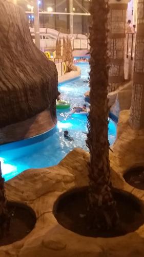 a water park with a palm tree in the middle at ALIZE in Reda