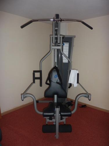 Fitness centrum a/nebo fitness zařízení v ubytování Hotel Zima