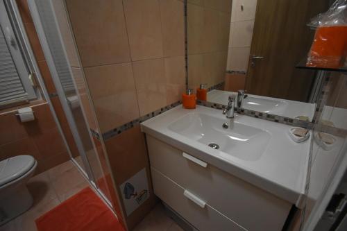a bathroom with a sink and a shower and a toilet at Apartmaji Sobe Zvezda in Pobegi