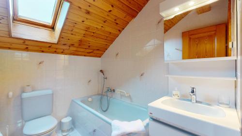 een badkamer met een toilet, een wastafel en een douche bij Superb family apartment in centre of the village of Vercorin in Vercorin