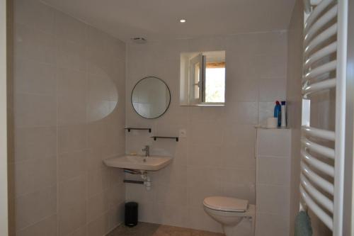 ein Badezimmer mit einem WC, einem Waschbecken und einem Spiegel in der Unterkunft Lacassagne in Loubersan