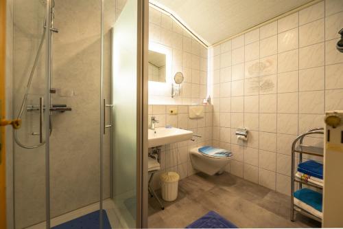 a bathroom with a shower and a toilet and a sink at Ferienwohnung Haus Inge in Moosbach