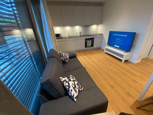 ein Wohnzimmer mit einem Sofa und einem TV in der Unterkunft New Luxury Studio in the Heart of Kirchberg -D in Luxemburg (Stadt)