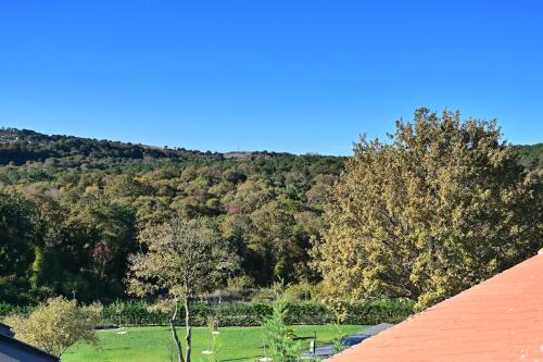 uma vista para um campo e árvores a partir de um telhado em Forest villa- 5 minutes from the airport em Arnavutköy