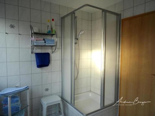 ボルクムにあるHaus-Moana-Wohnung-1のバスルーム(ガラスドア付きのシャワー付)