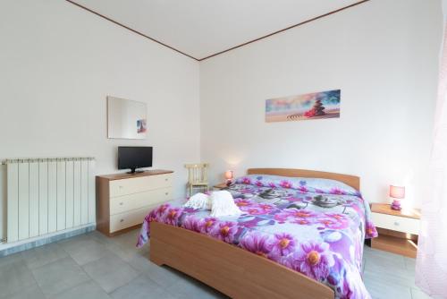 蘇比亞諾的住宿－Casa di Flo'，一间卧室配有一张床和一台电视。