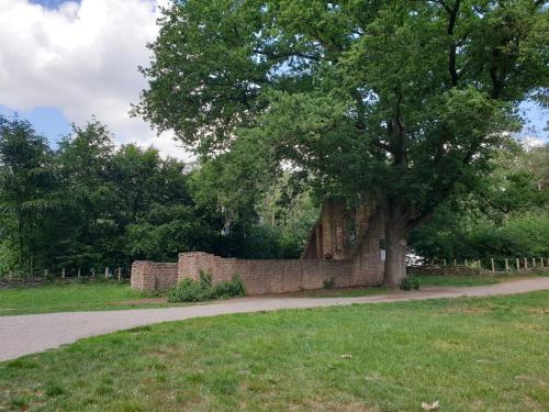 a large tree next to a brick wall at B&B Het Gelders Buitenleven in Overasselt