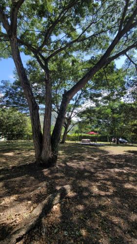 Jardín al aire libre en CisneCisneros