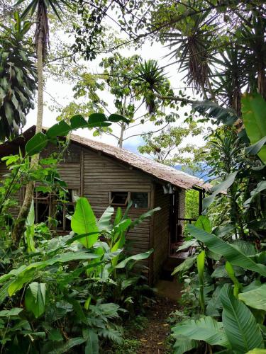 Finca Agroecologica La Flor