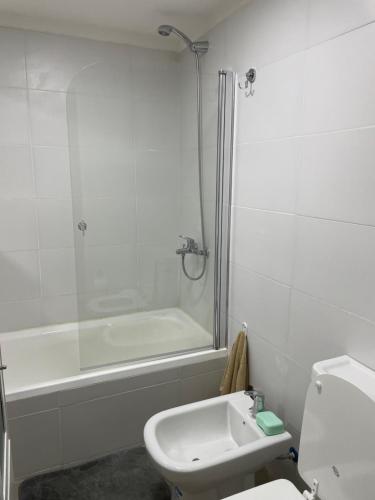 ein Badezimmer mit Dusche, Toilette und Waschbecken in der Unterkunft Ampio Balcone in Buenos Aires