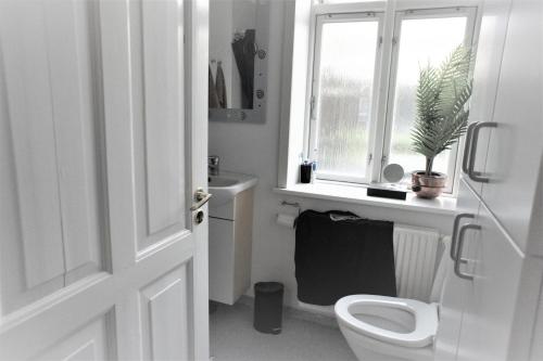 a white bathroom with a toilet and a window at Finlandsgade 41 st (id.054) in Esbjerg