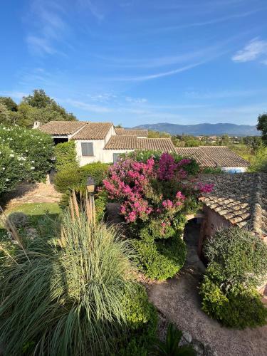 a garden with flowers and plants in front of a house at Résidence Storia di Blue in Porto-Vecchio