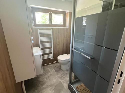 Elle comprend une petite salle de bains pourvue de toilettes et d'une fenêtre. dans l'établissement Au petit bonheur, à Horbourg-Wihr
