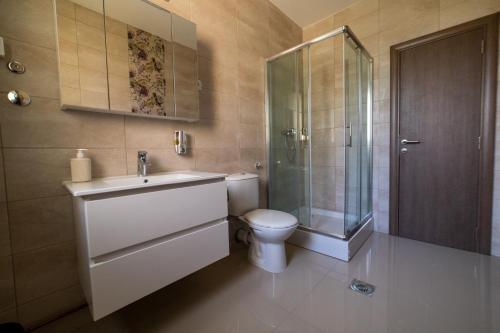 W łazience znajduje się toaleta, umywalka i prysznic. w obiekcie Vila Biser Dunava (Pearl of Danube Villa) w mieście Smederevo