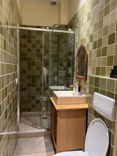La salle de bains est pourvue d'une douche, de toilettes et d'un lavabo. dans l'établissement Villa Ermitage-Appartement Paris - Buttes Chaumont, à Paris