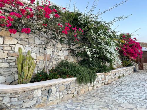Κήπος έξω από το Natica Mare Villas