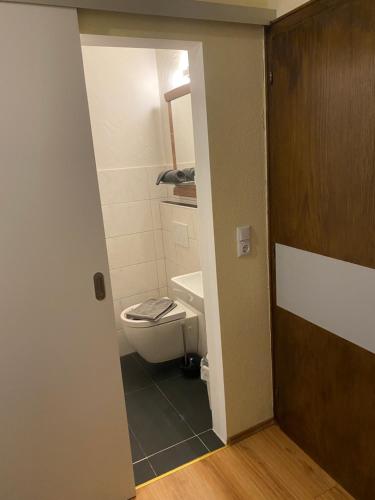 a bathroom with a toilet and a sink at Molltaler Appartements en b&b in Stall