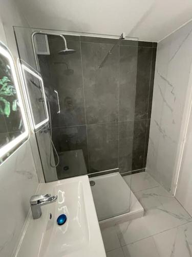 Kúpeľňa v ubytovaní Bourg en Bresse: Superbe appartement de 100 m2