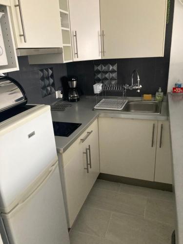 TRÈS BEL APPARTEMENT ENTIÈREMENT RÉNOVÉ