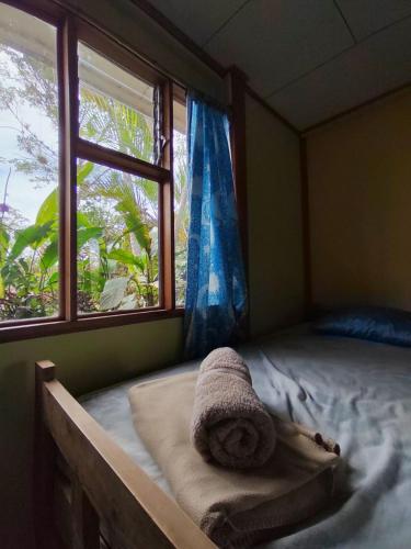 Finca Agroecologica La Flor – Photos 3