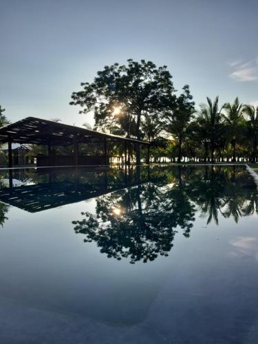 a swimming pool with a building and trees in the background at Hibiscus Garden in Santa Catalina