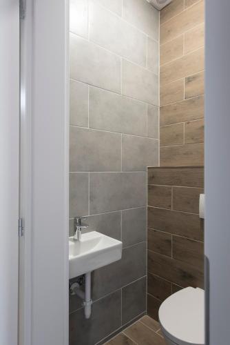 a bathroom with a sink and a toilet at Aranygesztenye Apartmanház in Balatonudvari