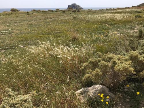 Φυσικό τοπίο κοντά σε αυτή η παραθεριστική κατοικία