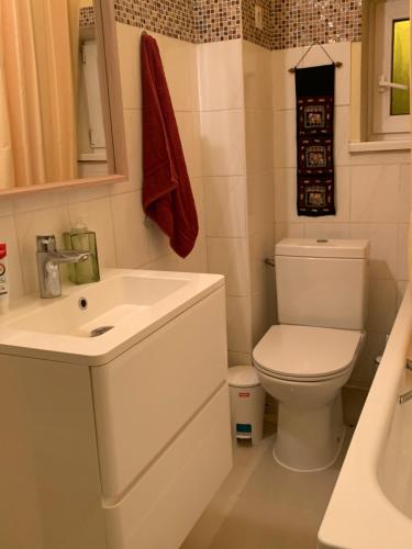 リガにあるハート オブ リガ アパートメントの白いバスルーム(トイレ、シンク付)