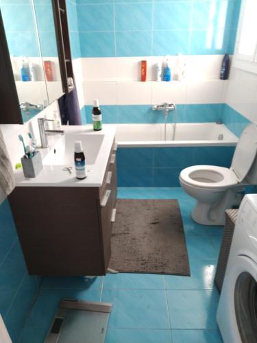雅典的住宿－SAILORS LUXURY APPARTMENT 130m2，蓝色的浴室设有水槽和卫生间