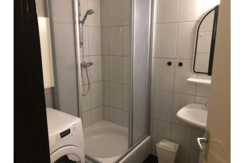 a small bathroom with a shower and a sink at Bruinisse-Zeeland-Holland in Bruinisse