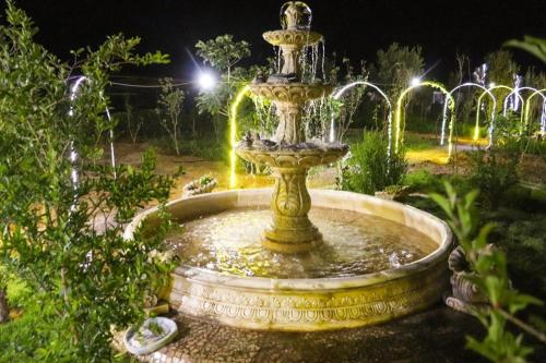 a fountain in the middle of a garden at night at Jnane Nina in Tagadirt