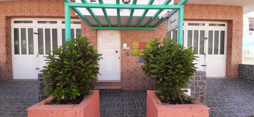 two plants in pots in front of a building at Atlantic Sal Hostel in Santa Maria