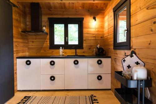 een badkamer met een wastafel en een houten muur bij FINS Holiday Home in Ermelo