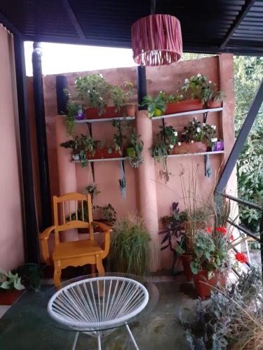 un patio con una silla y macetas en la pared en Los mandalas en San Salvador de Jujuy
