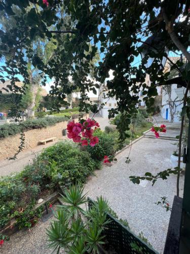 a garden with pink flowers hanging from a tree at La Ventana in Ibiza Town