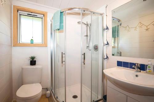 a bathroom with a shower and a toilet and a sink at Driftwood Cottage in Punakaiki